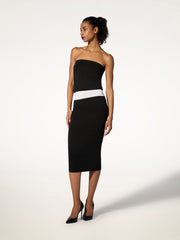 Sensual Sheer Velvet Tube Dress